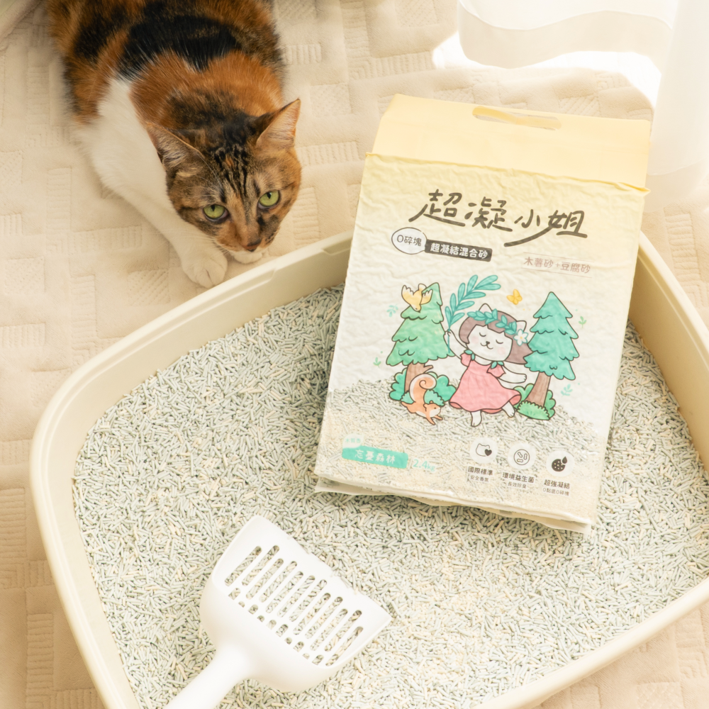 Lady N 超凝小姐 超凝結混合貓砂｜忘憂森林香｜2.4kg