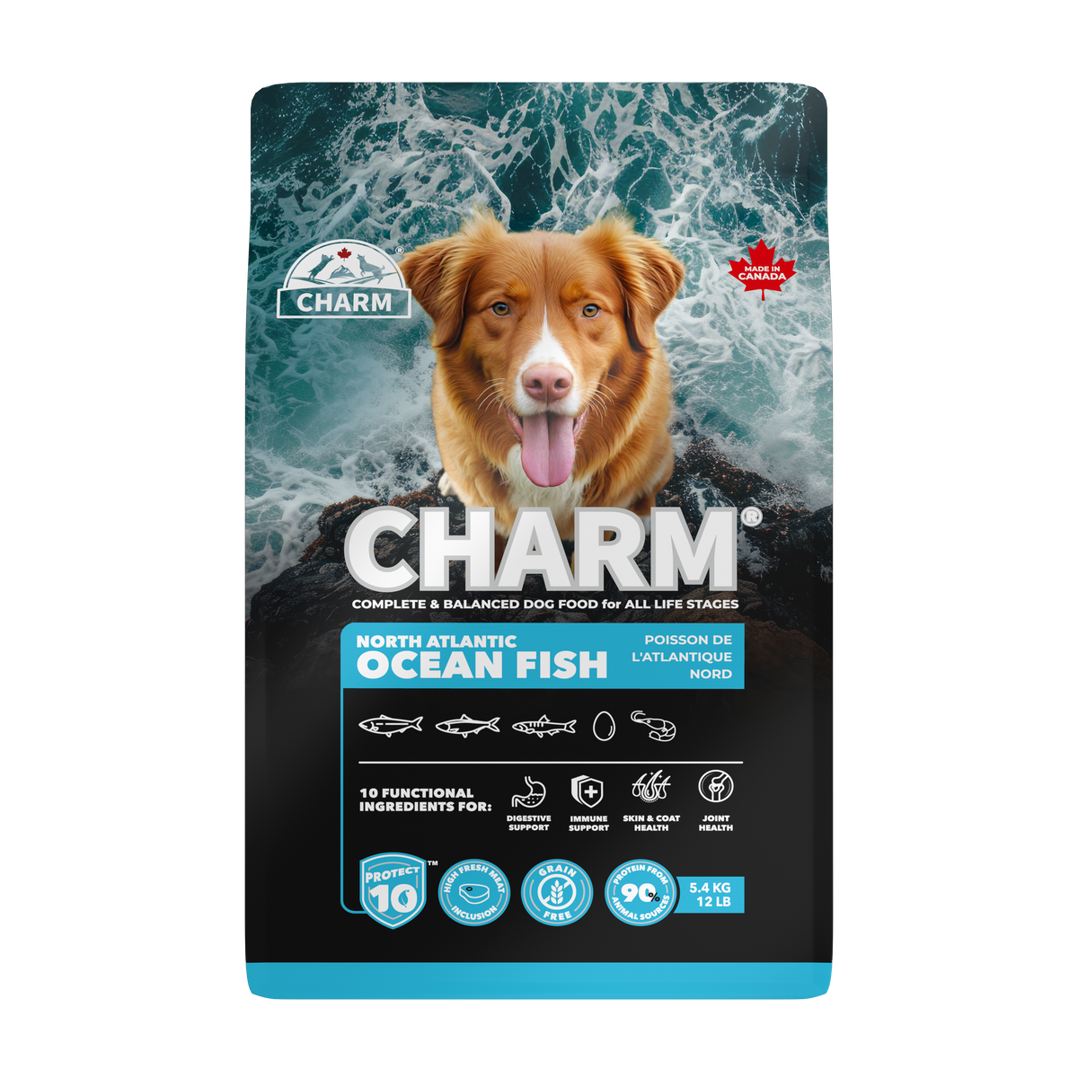 CHARM Protect10™ 超能精華無穀物海洋魚狗糧｜正面包裝（容量以選項為準）