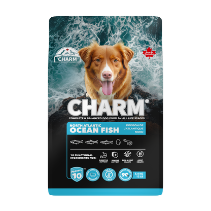 CHARM Protect10™ 超能精華無穀物海洋魚狗糧｜正面包裝（容量以選項為準）