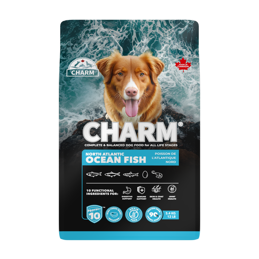 CHARM Protect10™ 超能精華無穀物海洋魚狗糧｜正面包裝（容量以選項為準）